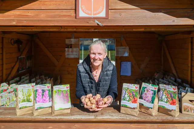 Christiane Degenhardt vom Gartenbaubetrieb Degenhardt in ihrem Verkaufstand in Schwaneberg vor den Toren Magdeburgs. Sie zeigt Gladiolenzwiebeln. Seit 120 Jahren zuechtet der Gartenbaubetrieb Degenhardt in der Magdeburger Boerde Tulpen, Krokusse und Gladiolen.  | Foto: epd-bild/Viktoria Kuehne