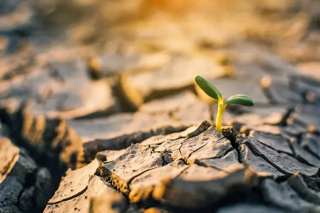 Die positive Seite der Apokalypse: "Und ich sah einen neuen Himmel und eine neue Erde" (Offenbarung 21,1)  | Foto: sawitreelyaon – stock.adobe.com