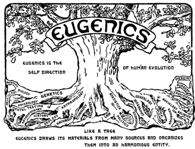 Das Logo der zweiten Internationalen Eugenik-Konferenz, 1921  | Foto: Wikipedia, gemeinfrei
