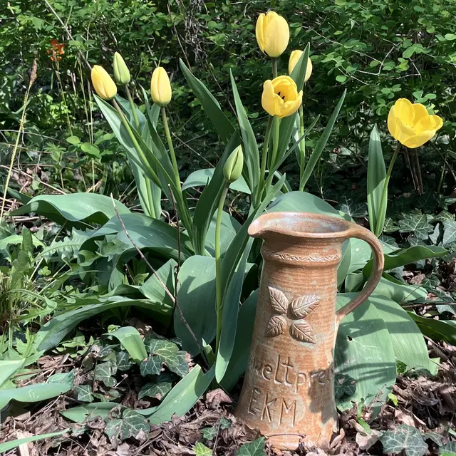 Ein Tonkrug mit der Aufschrift "Umweltpreis EKM" steht vor gelben Tulpen.