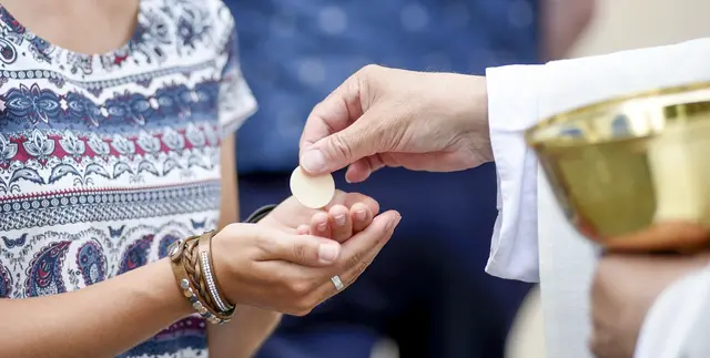 Foto: Foto: Gerhard Seybert – stock.adobe.com