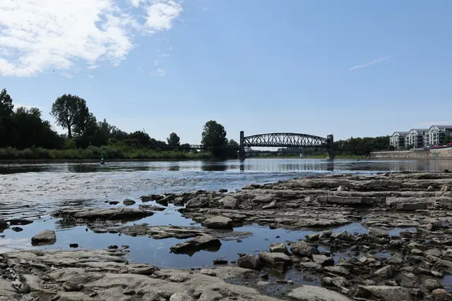 Niedrigwasser an der Elbe in Magdeburg, aufgenommen am Domfelsen am 15. Juli dieses Jahres. Am Pegel "Strombrücke Magdeburg" stand das Wasser an diesem Tag bei 49 Zentimetern.
 | Foto: epd-Bild/Thomas Nawrath
