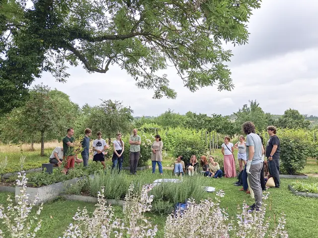 Schüler der Landesschule Pforta werden in den Enstehungsprozess einbezogen. Im bestehenden Kräutergarten haben sie sich für das Projekt "Meistergarten – Ideensammlung" inspirieren lassen. | Foto: Stiftung Schulpforta