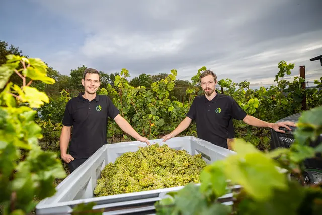 Die Erfurter Wein-Reben mit Betriebsleiter Tom Andrä (links) und Winzergeselle Martin Juch  | Foto: Michael Kremer/ SnapArt