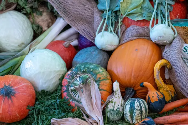 Foto: Matthias Frank Schmidt