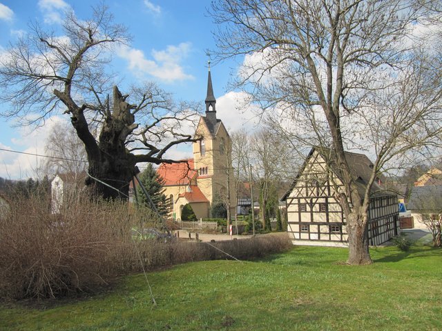Tausendjährige Eiche, Kirche und Pfarrscheune Nöbdenitz | Foto: Wolfgang Göthe