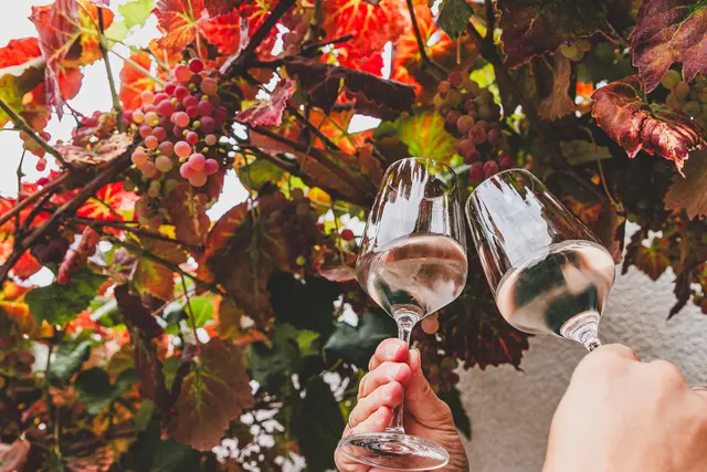 Foto: Kirsten Mengewein