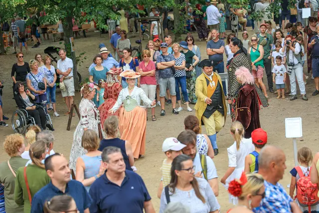 Telemann-Sommerfest, Eindrücke aus 2025 | Foto: Viktoria Kühne