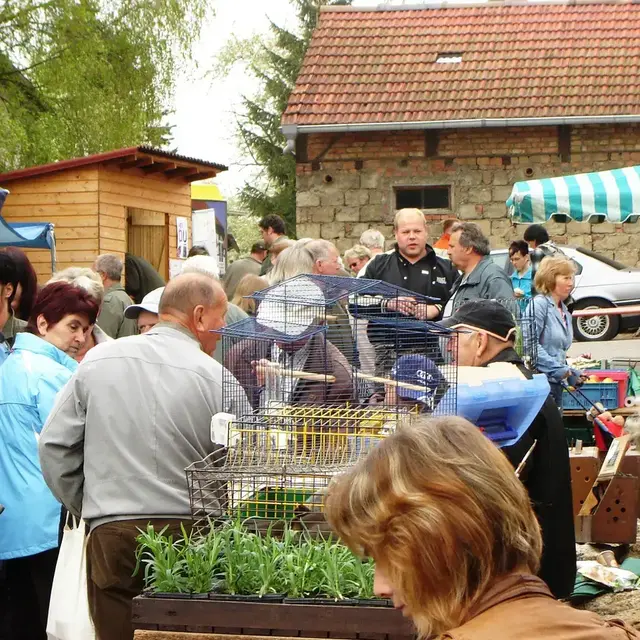 Jährlich herrscht buntes Treiben zum Markt auf dem Klostergelände. | Foto: Stiftung Kloster Volkenroda