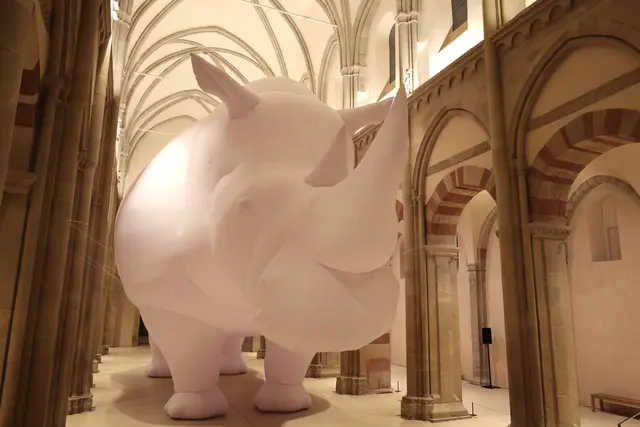 Im Kunstmuseum Kloster Unser Lieben Frauen Magdeburg grüßt ein Nashorn die Besucher. Geschaffen wurde die Installation von Itamar Gov. Für sein Werk ließ sich der deutsch-israelische Künstler von Albrecht Dürers Holzschnitt "Panzernashorn" inspirieren, das den Dickhäuter zum Sinnbild imperialer Macht stilisiert. Gefüllt ist das Rhinozeros mit heißer Luft. Es soll die Metapher des "Elefanten im Raum" aufgreifen, die für ein Thema steht, das zwar zu groß ist, um es zu ignorieren, gleichzeitig aber zu unangenehm, um darüber zu sprechen.  | Foto: Thomas Nawrath